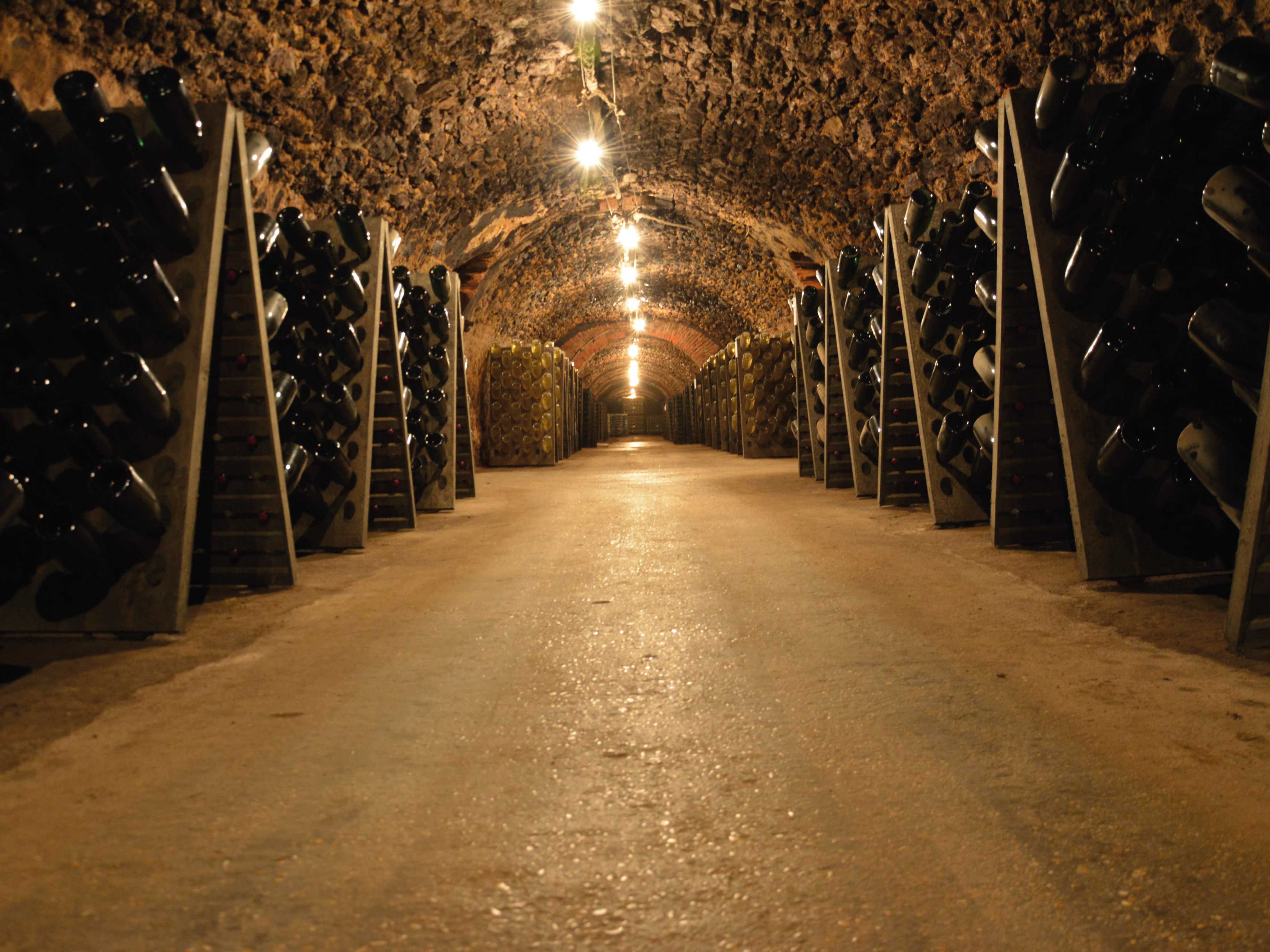 Balades insolites en Champagne My Vintage Tour Company Cave Vollereaux