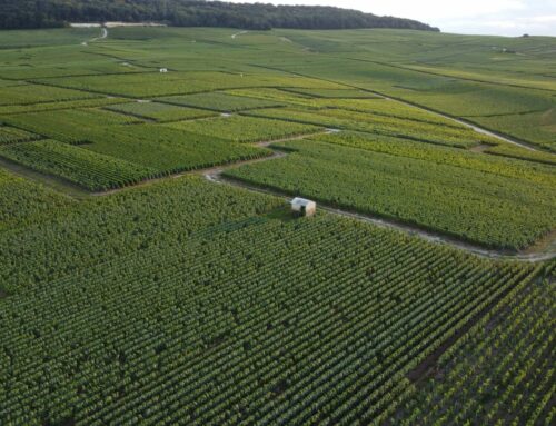 Les événements à ne pas manquer en Champagne en 2025 !