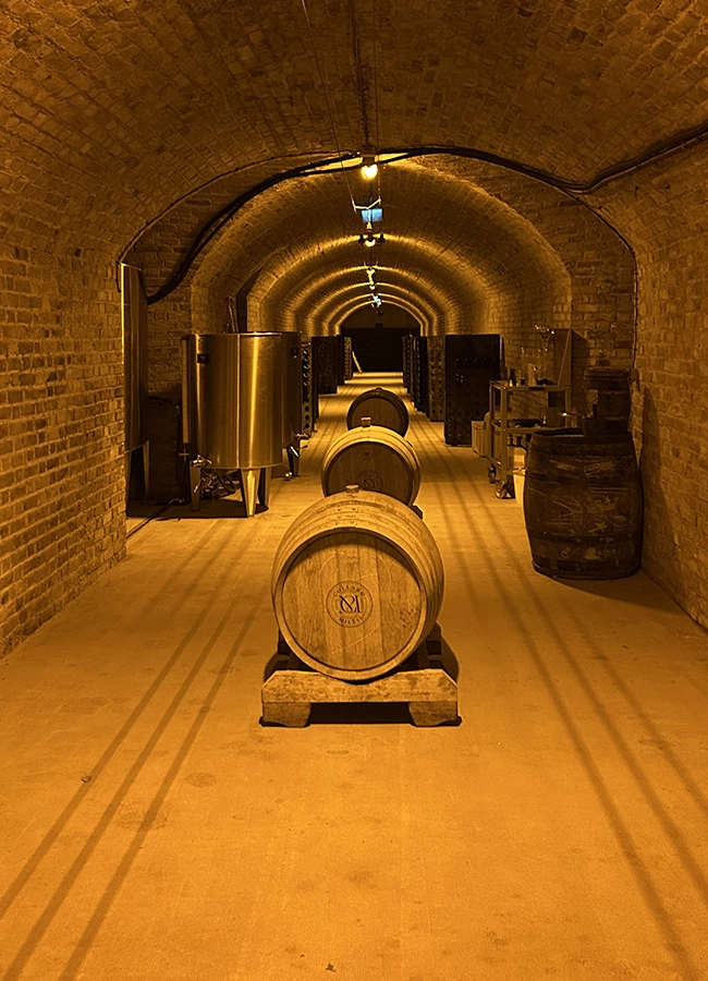 le-etla-champagnecave