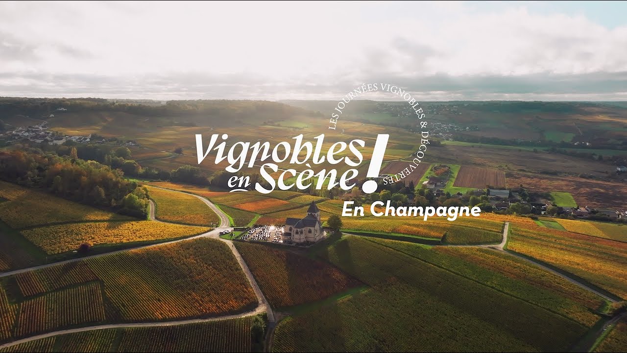 vignobles en scène